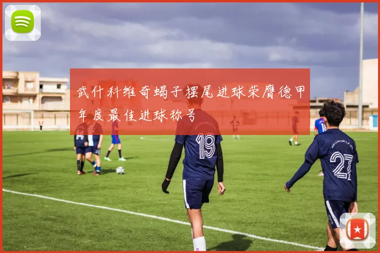 武什科维奇蝎子摆尾进球荣膺德甲年度最佳进球称号