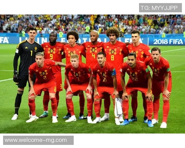 纳因戈兰谈与加西亚教练的良好关系及比利时晋级世界杯的信心