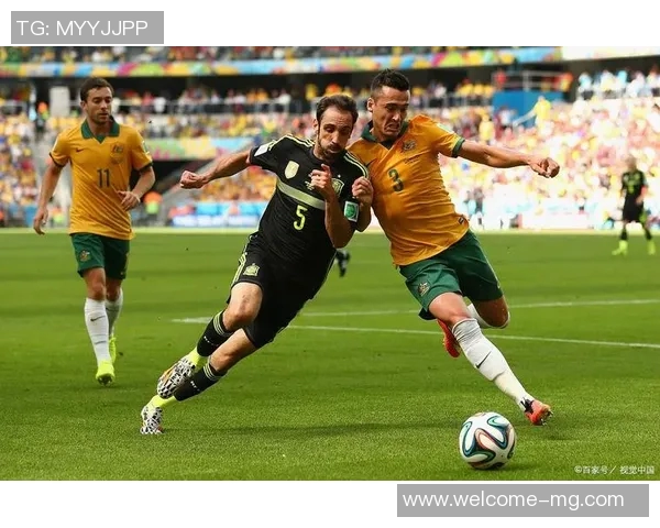 巴甲联赛历史夺冠次数统计帕尔梅拉斯领先弗拉门戈紧随其后